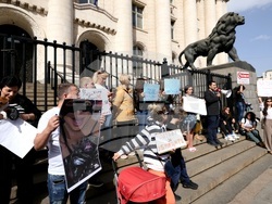 Протест срещу насилието над животни