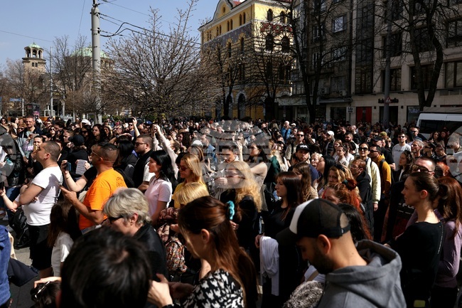 Граждани протестират пред Съдебната палата в София срещу насилието над животни