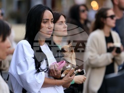 Протест срещу насилието над животни