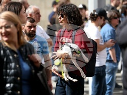 Протест срещу насилието над животни