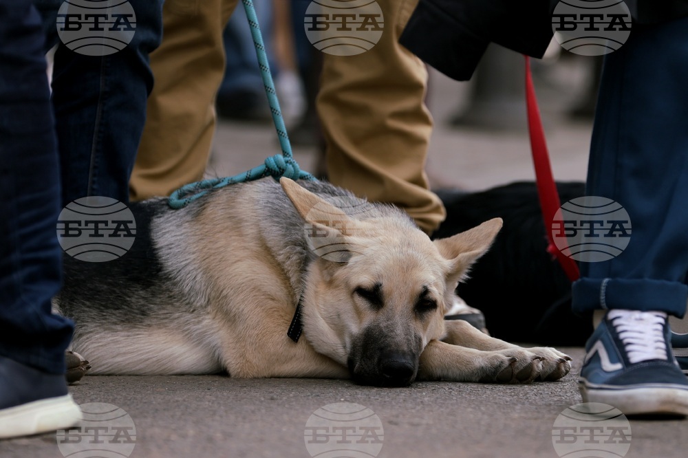 В Бургас се проведе протестен поход срещу насилието над животни
