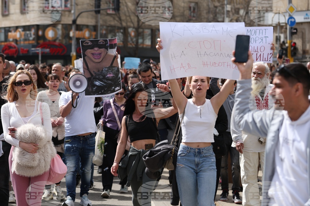 Протест срещу насилието над животни - шествие