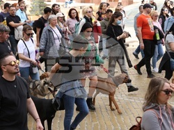 Протест срещу насилието над животни - шествие