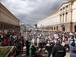 Протест срещу насилието над животни - шествие