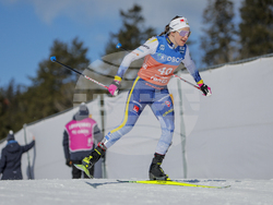 Norway Cross Country World Cup