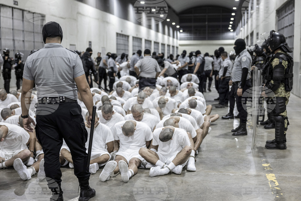 El Salvador Gangs