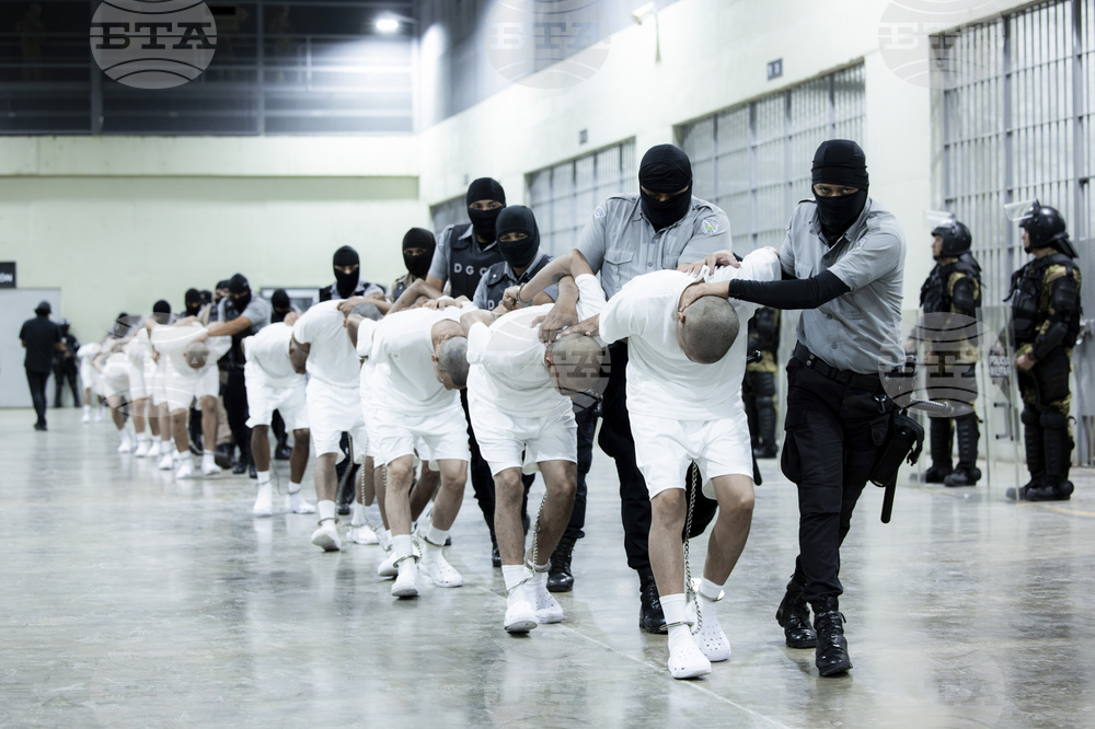 El Salvador Gangs