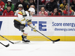 Golden Knights Red Wings Hockey