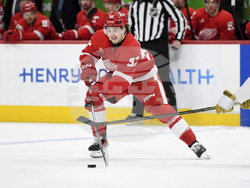 Golden Knights Red Wings Hockey