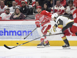 Golden Knights Red Wings Hockey