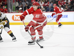 Golden Knights Red Wings Hockey