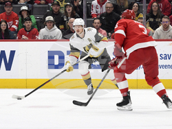 Golden Knights Red Wings Hockey