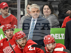 Golden Knights Red Wings Hockey