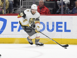 Golden Knights Red Wings Hockey