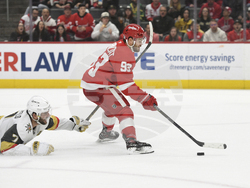Golden Knights Red Wings Hockey