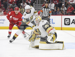 Golden Knights Red Wings Hockey