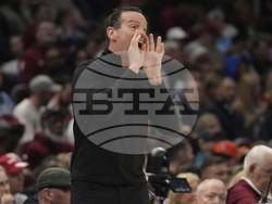 Magic Cavaliers Basketball