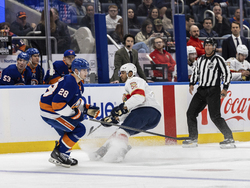 Panthers Islanders Hockey