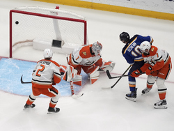 Ducks Blues Hockey
