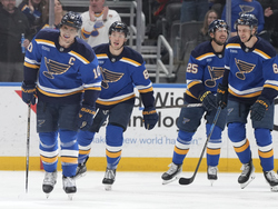Ducks Blues Hockey