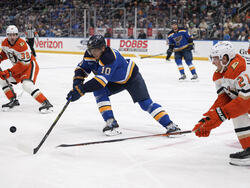 Ducks Blues Hockey
