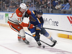 Ducks Blues Hockey