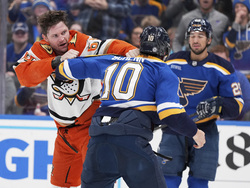 Ducks Blues Hockey