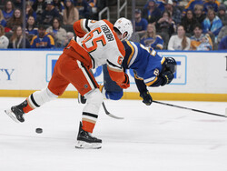 Ducks Blues Hockey