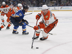 Ducks Blues Hockey