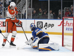 Ducks Blues Hockey