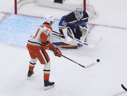 Ducks Blues Hockey