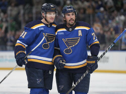 Ducks Blues Hockey