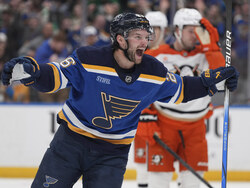 Ducks Blues Hockey