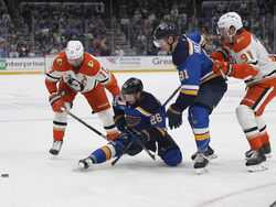 Ducks Blues Hockey