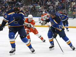 Ducks Blues Hockey