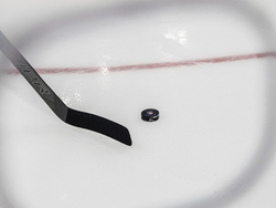 Panthers Islanders Hockey