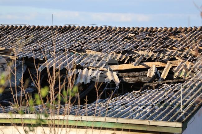 Студентката Стефания Алексова от Американския университет в Благоевград е сред жертвите от град Кочани