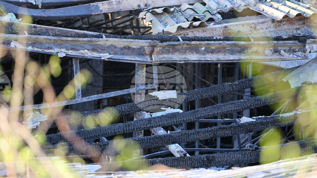 Една трета от оцелелите и ранените от пожара в Кочани са изправени пред тревожност, депресия и посттравматично разстройство, сочи изследване