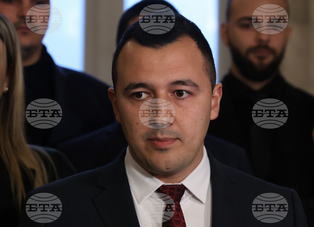 Bulgarian Socialist Party Proposes Stricter Penalties for Animal Cruelty