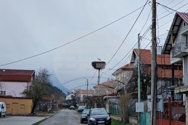 Село Драгушиново - щъркели