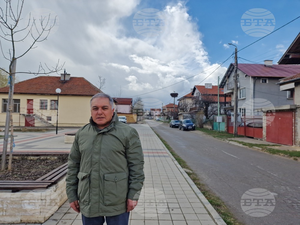 Село Драгушиново - щъркели
