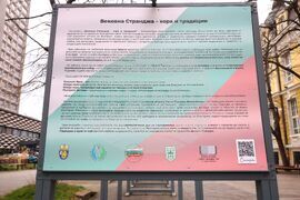 Бургас - „Вековна Странджа - хора и традиции” - изложба