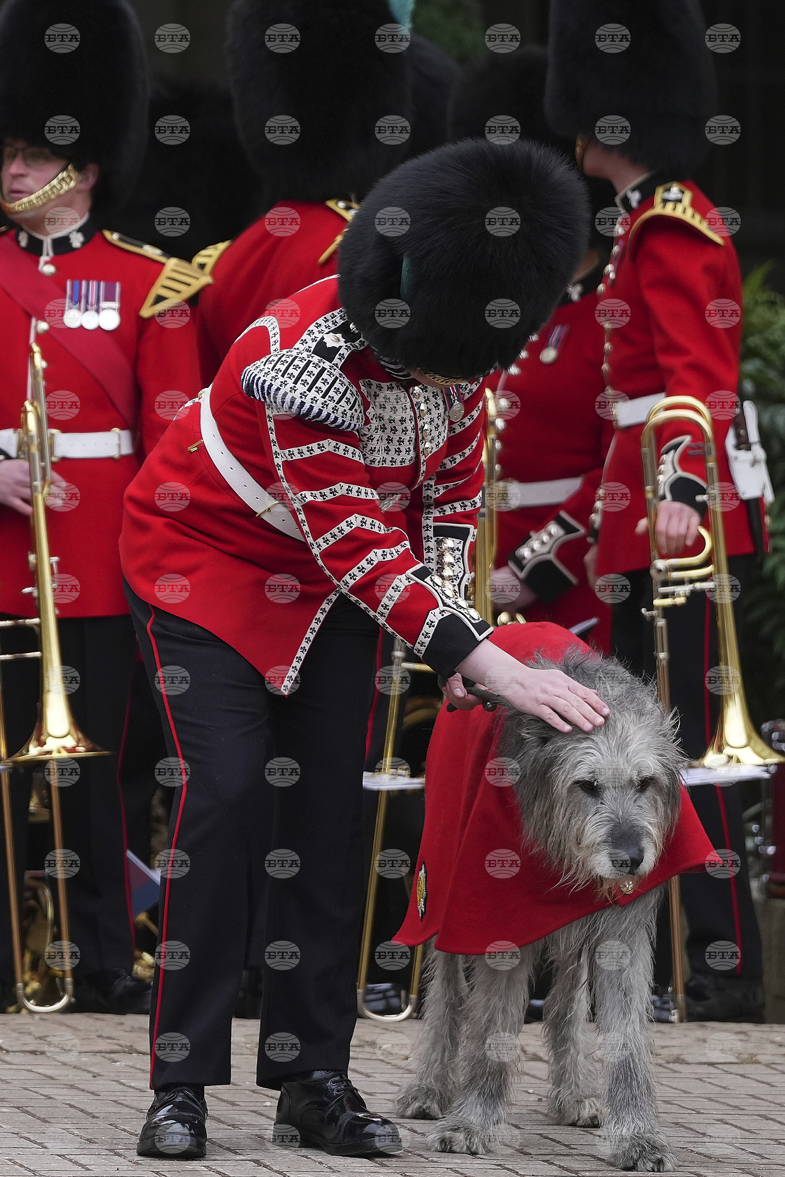 Britain Royals