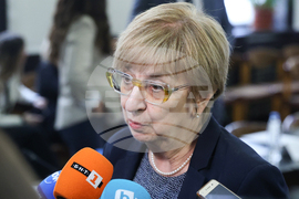 Проф. Екатерина Михайлова - изявление