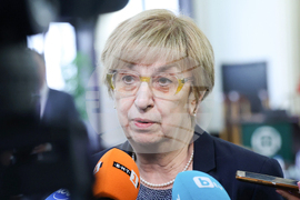 Проф. Екатерина Михайлова - изявление