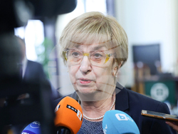 Проф. Екатерина Михайлова - изявление