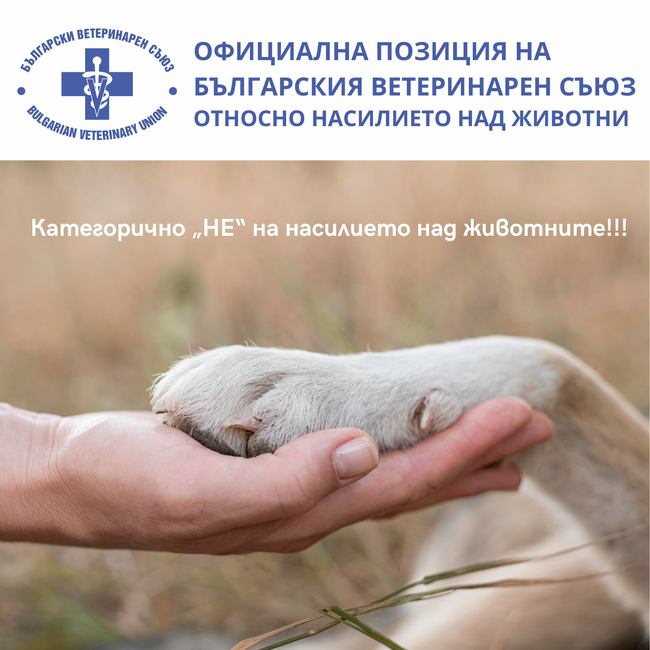 Българския ветеринарен съюз излезе с официална позиция относно насилието над животни