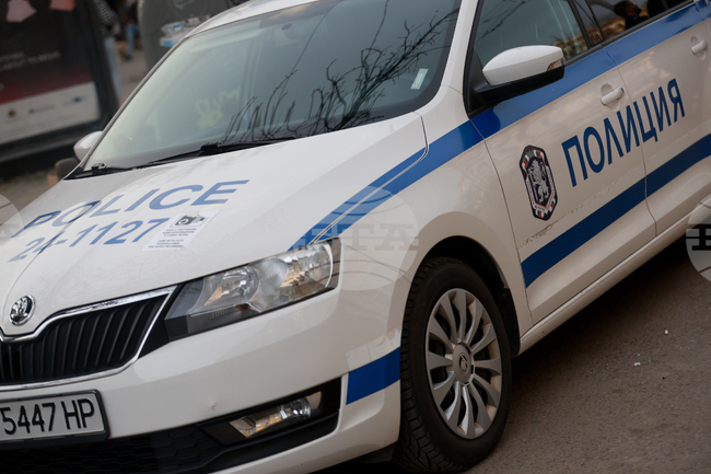 Куче е било застреляно с ловна пушка в кюстендилското село Багренци