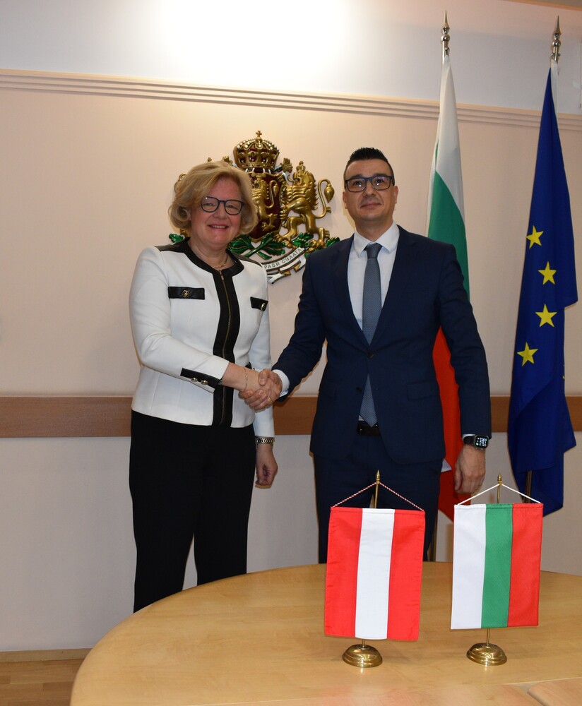 Австрийски компании проявяват интерес да инвестират в България в сферата на ИТ, банковия и застрахователния сектор, енергетиката, съобщи дипломат