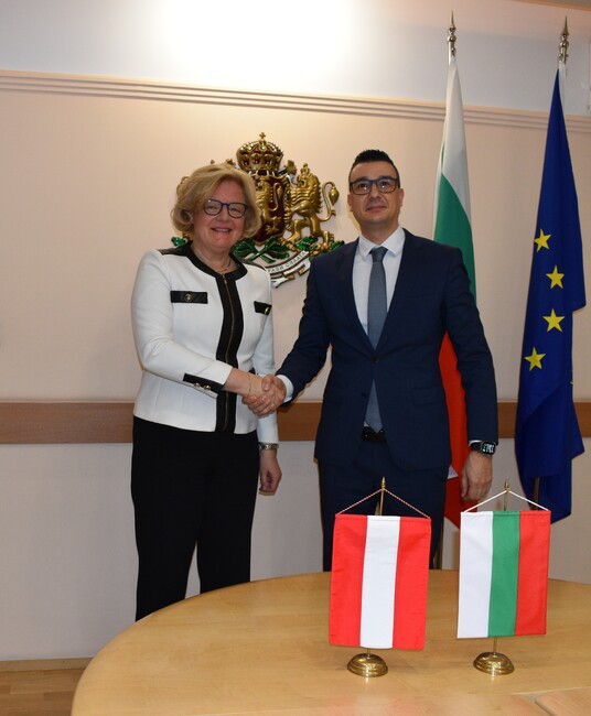 Австрийски компании проявяват интерес да инвестират в България в сферата на ИТ, банковия и застрахователния сектор, енергетиката, съобщи дипломат